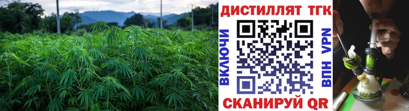 ТГК гашишное масло  Каневская 