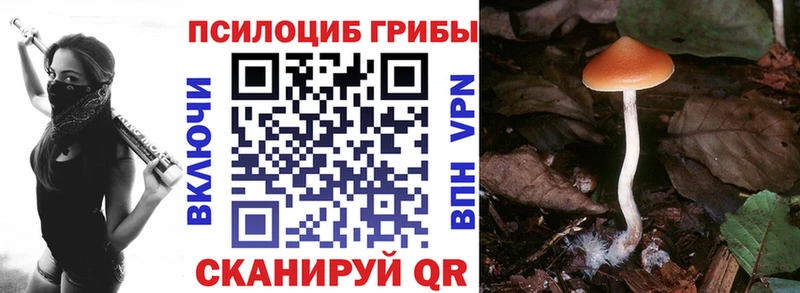магазин    Каневская  Галлюциногенные грибы ЛСД 